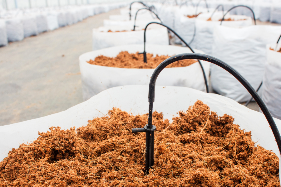 coco peat disadvantages