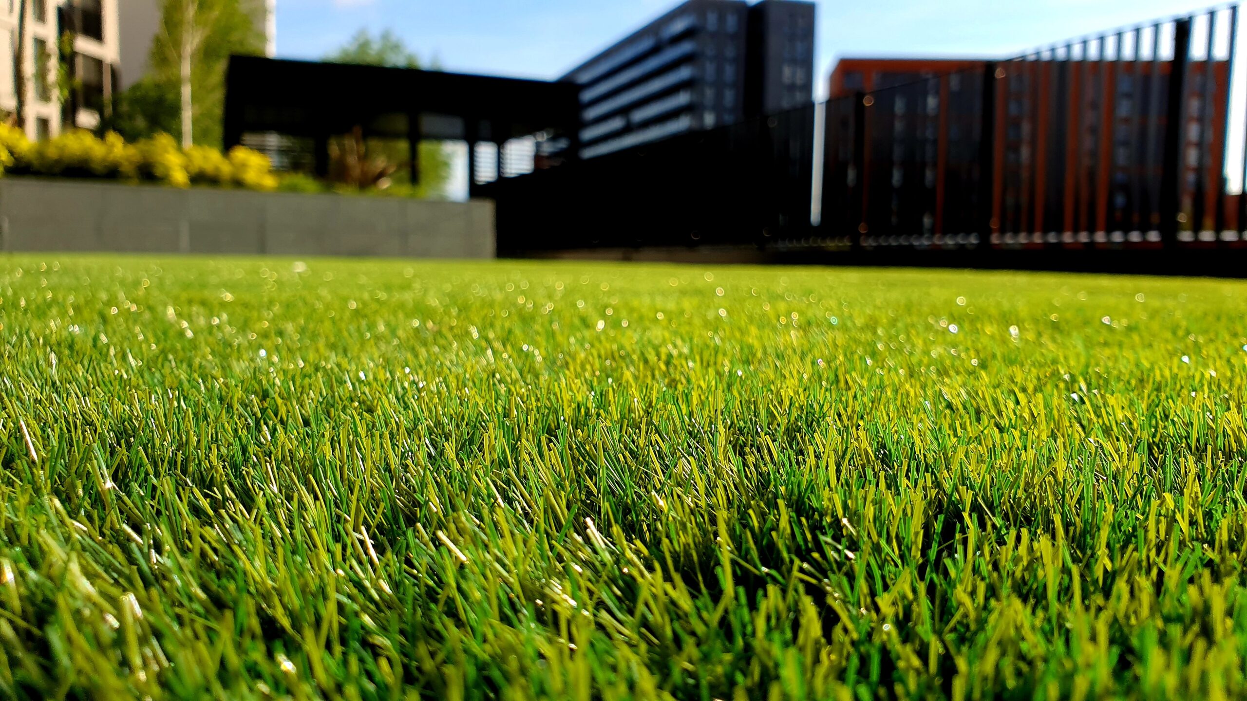 Can You Aerate Your Lawn Too Much