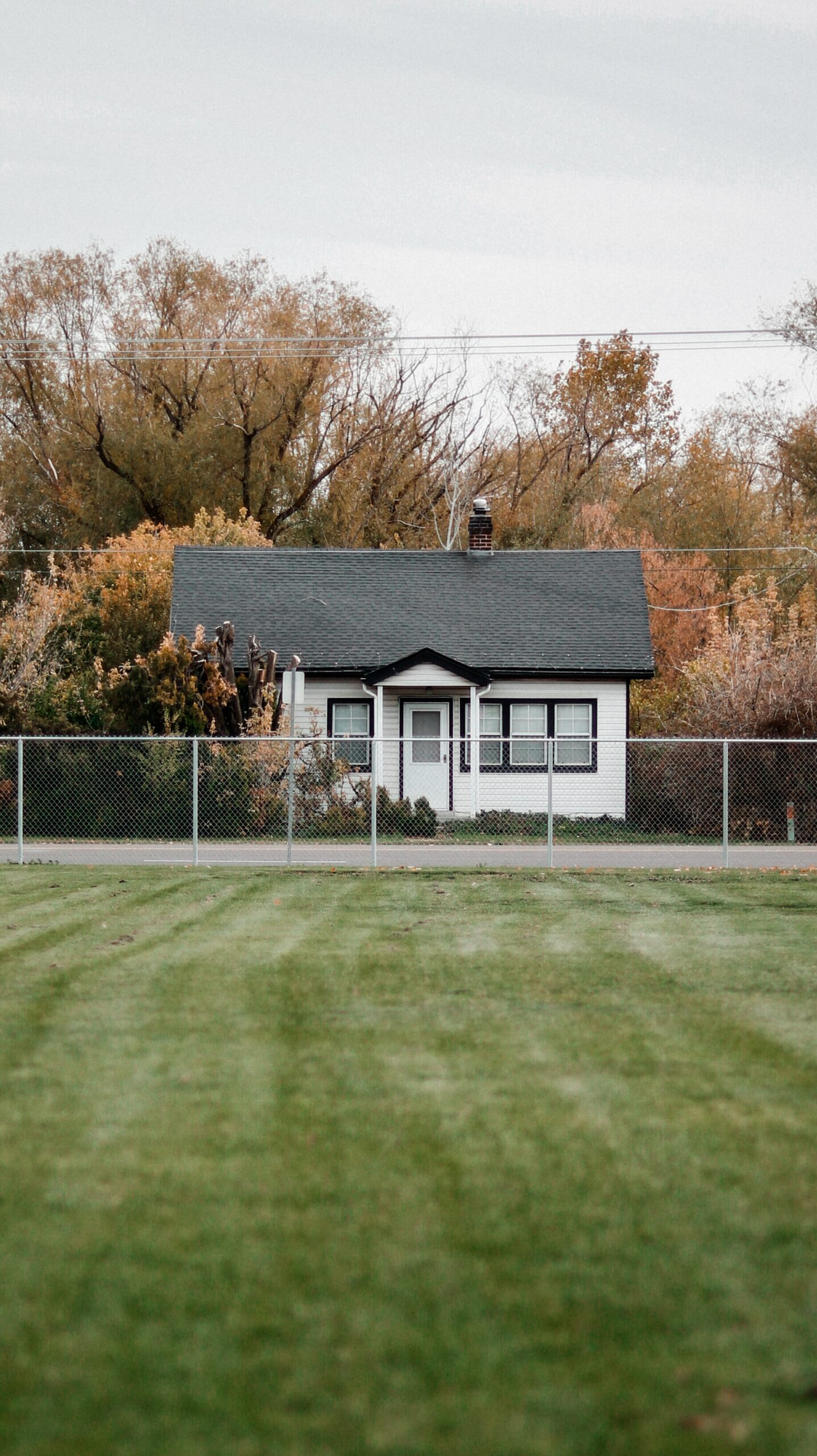 How to Tell if Your Lawn Needs Lime