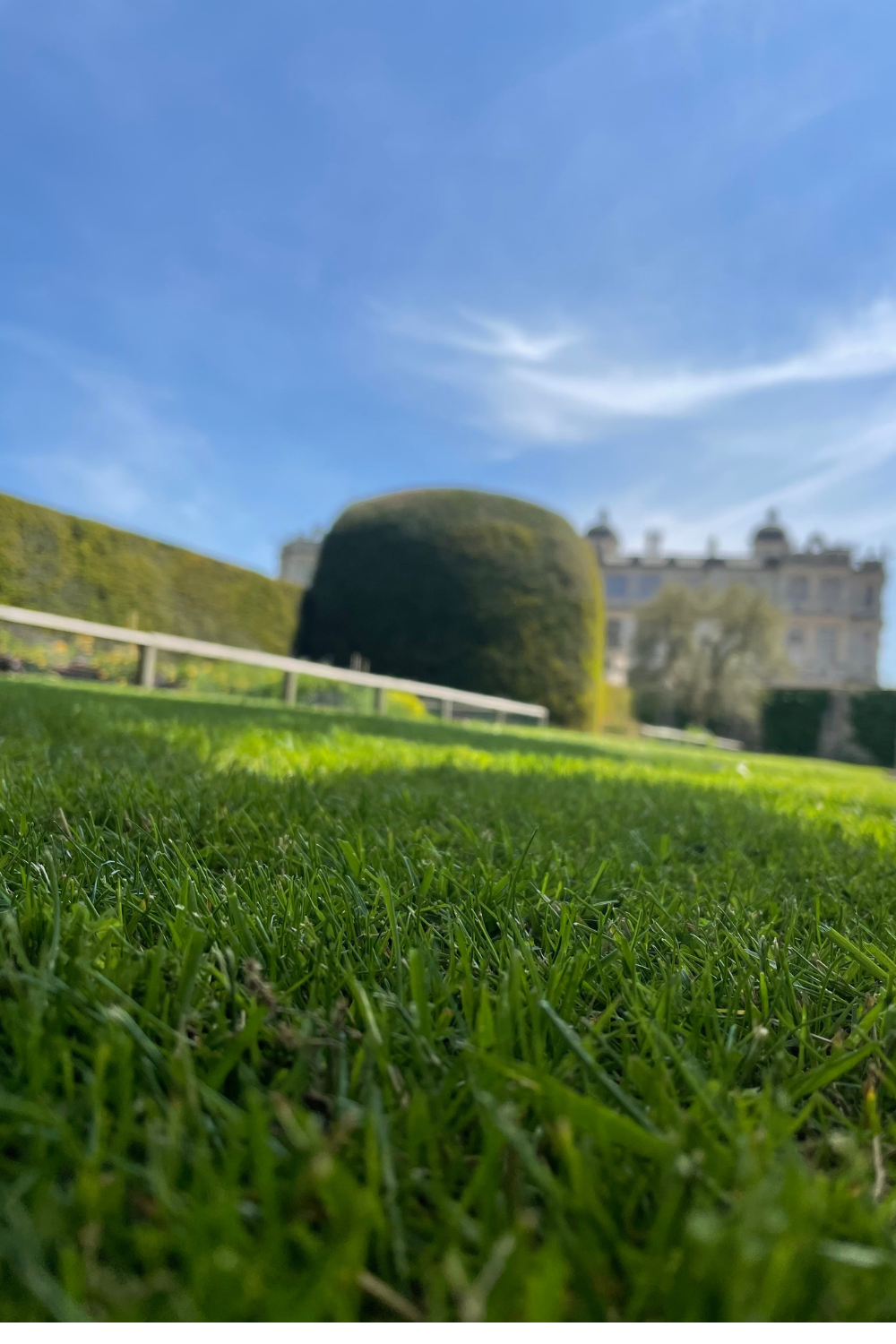 year round lawn tips