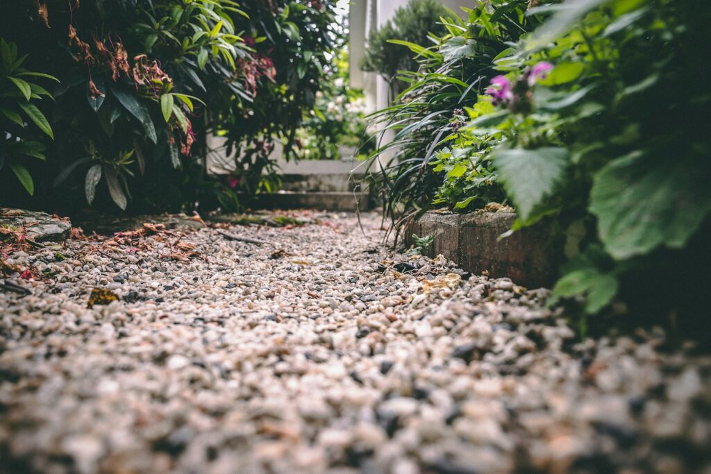 close-up photography of plants and gravel in a long narrow garden